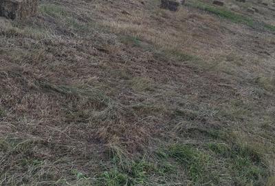 Teren de 500 mp, în Exterior Vest - 1