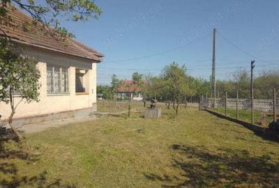 Casa in Viile Satu Mare cu 41 ari teren - 5