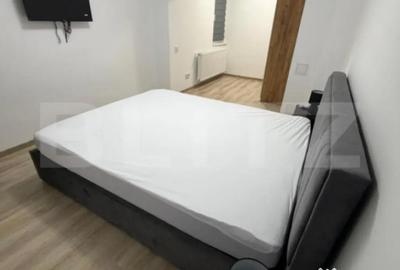 Apartament cu 2 camere decomandat în Ultracentral - 3