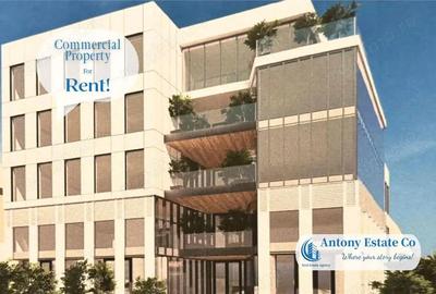 Spațiu comercial, de 171 mp, în Central - 1