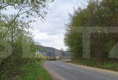 Teren de 12500 mp, în Central - 7