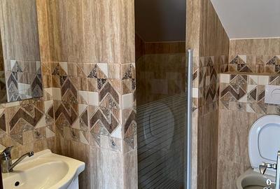 Vand casa Faget - 10