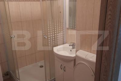 Apartament cu 2 camere decomandat în Alexandru cel Bun - 5