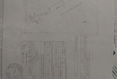 Teren Construcții intravilan de 1000 mp, în Filipeștii de Pădure - 9