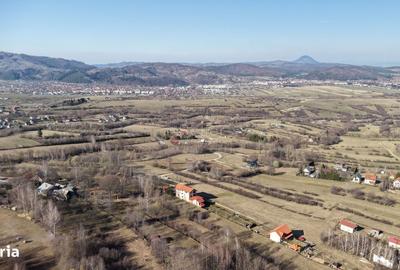 Spațiu comercial, în Predeluț - 5