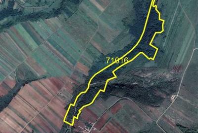 Spațiu comercial, în Răcarii de Jos - 3