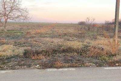 Spațiu comercial, în Cenad - 1