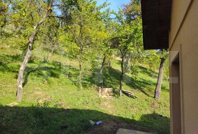 Casă cu 5 camere cu Teren 3000 Mp în Runcu - 2