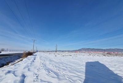 Teren intravilan industrial Varianta de Centura (Str. - 1