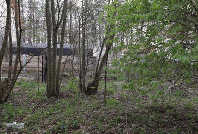 Teren Construcții intravilan de 1346 mp, în Castelul Peleș - 3
