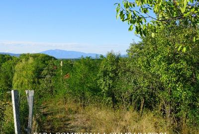 BUDESTI, TEREN 1000 MP, PRIVELISTE MINUNATA - 5