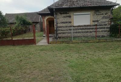 Casă individuală cu 3 camere cu Teren 5000 Mp în Horea - 2