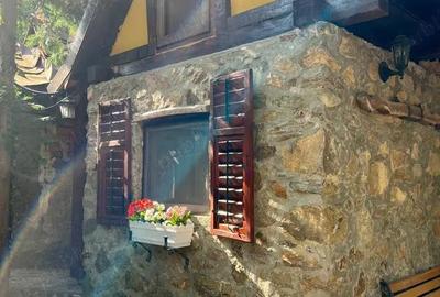 Casă cu 2 camere în Sasca Montană - 10