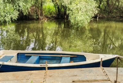 Pensiune functionala in Delta Dunarii,  Uzlina, bratul Sf. Gheorghe - 11