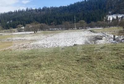 Teren de 12500 mp, în Coșna - 2