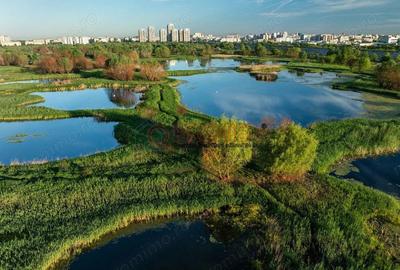 Delta Vacaresti - Vitan - Garsoniera - 1