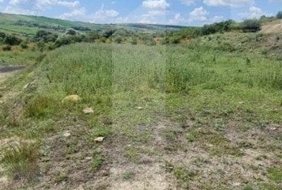 Teren, 1000 mp, Valea Fanatelor - 4