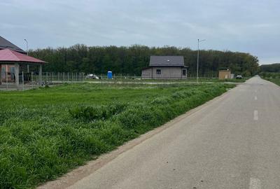 Teren de 3168 mp, în Cosoba - 3