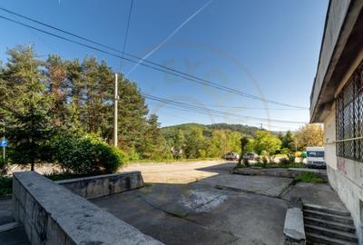 Inchiriere spatiu de depozitare 247 mp, curte 158 mp, Campul - 2