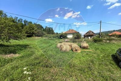 Casa cu teren generos de 62 ari - Berinta, Maramures - 5