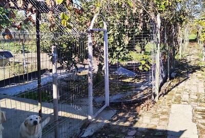 Casă în Ghirodei - 8