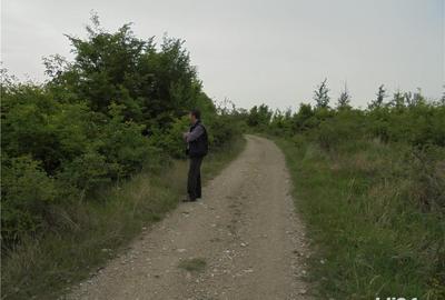 Teren de 5000 mp, în Răzvad - 1