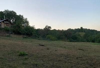 Teren de 7.5 mp, în Homorâciu - 3