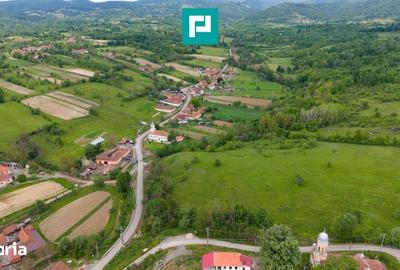 Casă cu 2 camere cu Teren 24494 Mp în Traian Vuia - 10
