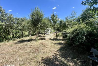 Casă cu 2 camere cu Teren 1940 Mp în Ciurea - 9