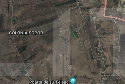 Teren Construcții intravilan de 1072.5 mp, în Sopor