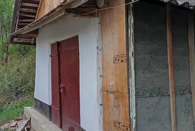 Casă cu 2 camere cu Teren 5000 Mp în Șișcani