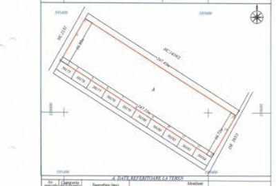 Teren intravilan de 16500 mp, în Dobroești - 3