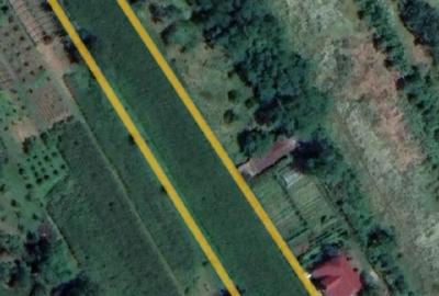 Teren de 6000 mp, în Siliștea Snagovului - 1