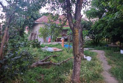 Casă individuală cu 3 camere cu Teren 2550 Mp în Lehliu - 4
