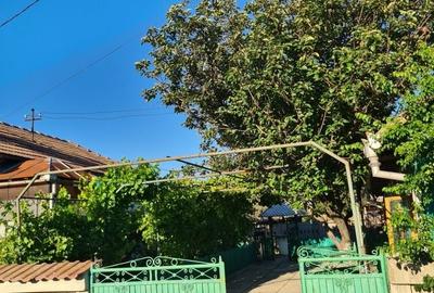 Casă cu 4 camere în Bistrița Nouă - 4