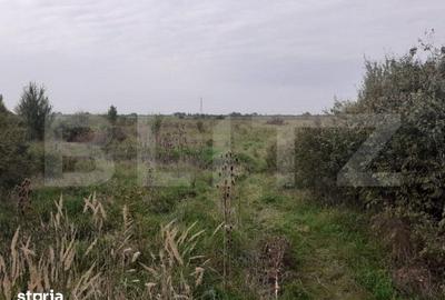 Teren de 39600 mp, în Iosefin