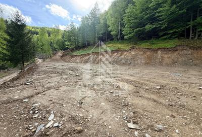 Teren Construcții extravilan de 18000 mp, în Exterior Sud - 21