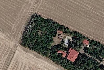 Teren Construcții intravilan de 4700 mp, în Adunații-Copăceni - 2