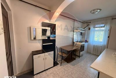 Apartament cu 2 camere semidecomandat în Brazda lui Novac