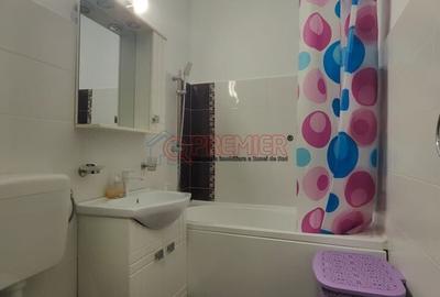 Apartament cu 2 camere, mobilat în Ozana - 12