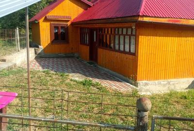 Casă cu 2 camere în Vale