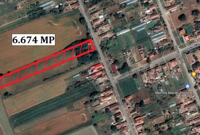 Casă cu 3 camere cu Teren 6674 Mp în Macea - 18