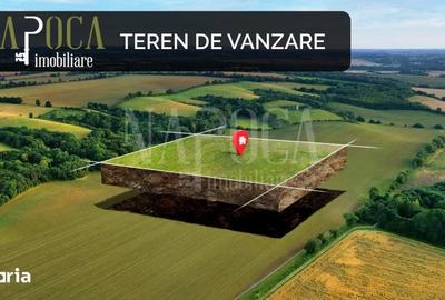 Teren de 4280 mp, în Dâmbul Rotund