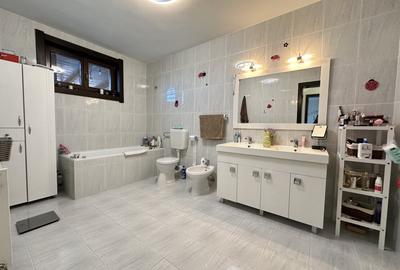 Casă individuală cu 9 camere cu Canalizare în Sânandrei - 13