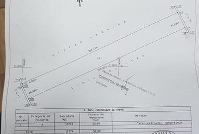 Teren agricol extravilan de 12774 mp, în Sintești - 5