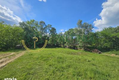 Teren de 2600 mp, în Chirpăr - 10