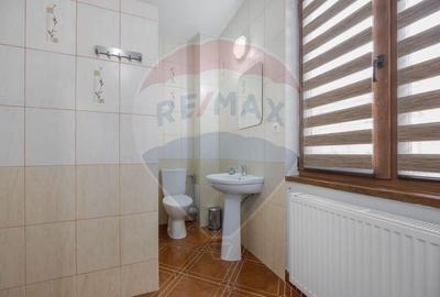 Casă cu 16 camere cu Teren 5375 Mp în Sânmartin - 21