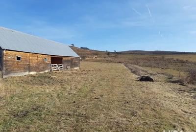 Teren de 8400 mp, în Vălișoara - 2