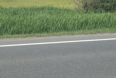 Spațiu comercial, în Exterior Vest - 6