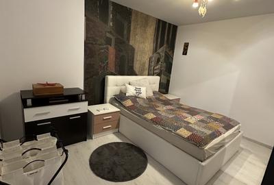 Apartament cu 3 camere decomandat, mobilat în Apărătorii Patriei - 15